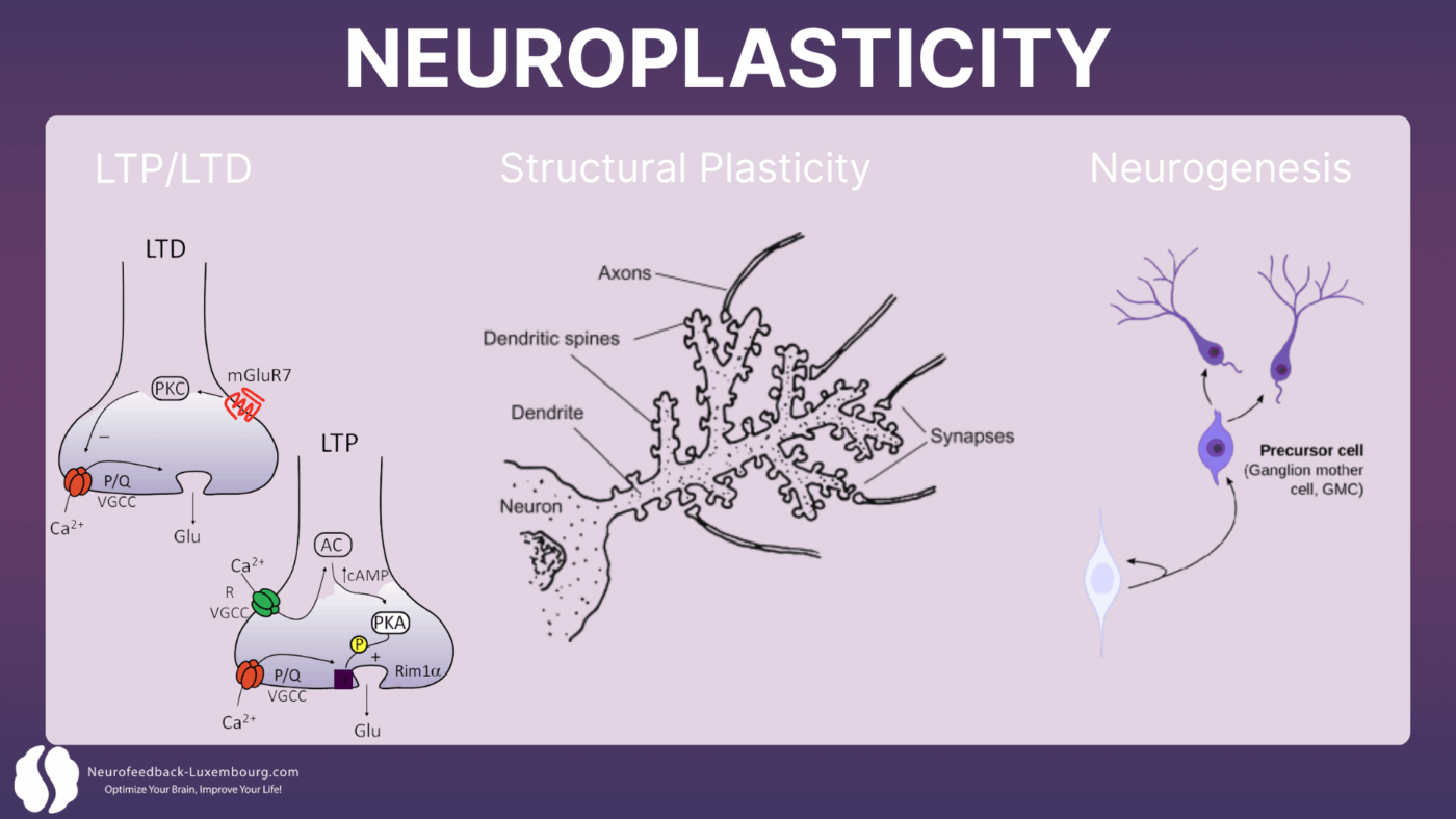 Visuelles tPBM nach Neuroplastizität