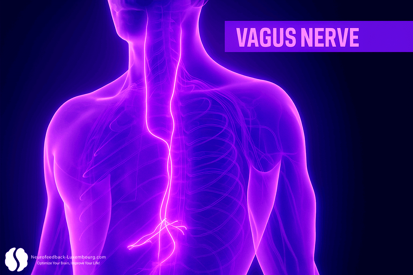 Visuel tPBM post vagus nerve